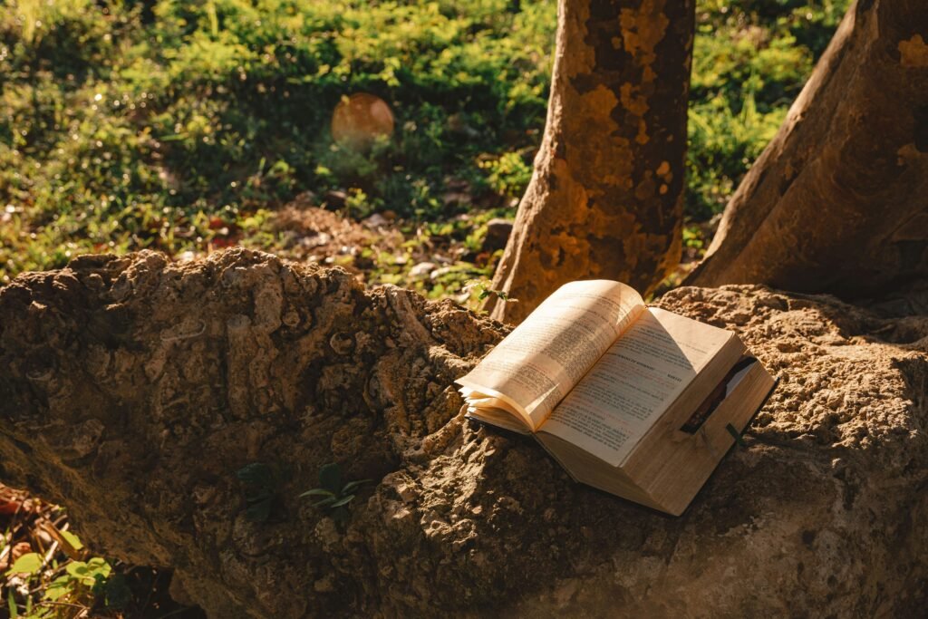Biblia sobre una Roca