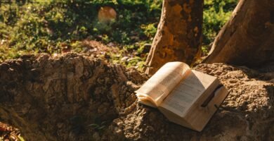 Biblia sobre una Roca